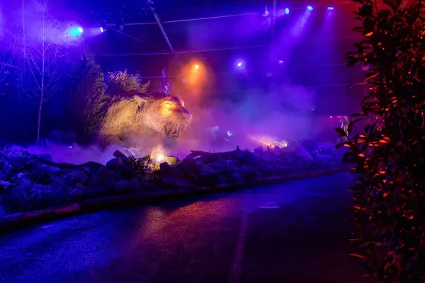 Effet brouillard Folie’Flore 2025 1