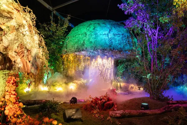 effet brouillard Folie'Flore 2025