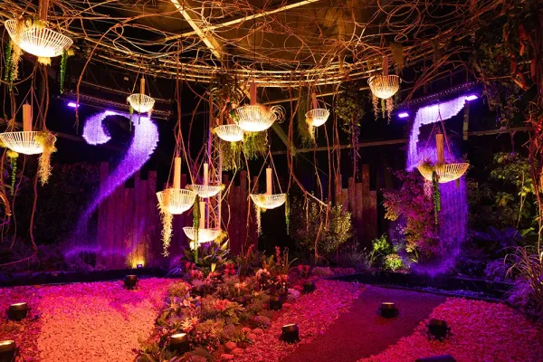 rideau d'eau Aqua Graphic Folie'Flore 2025 2