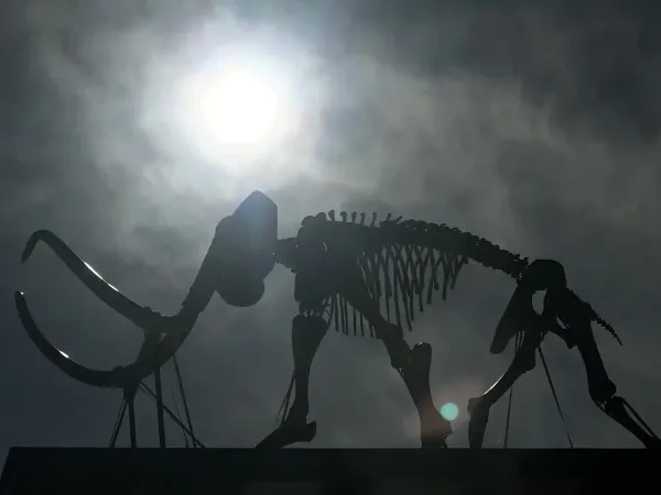 custom made water show mammuthus volantes industrie magnifique 13