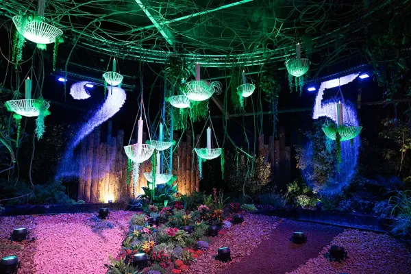 rideau d'eau Aqua Graphic Folie'Flore 2025 1