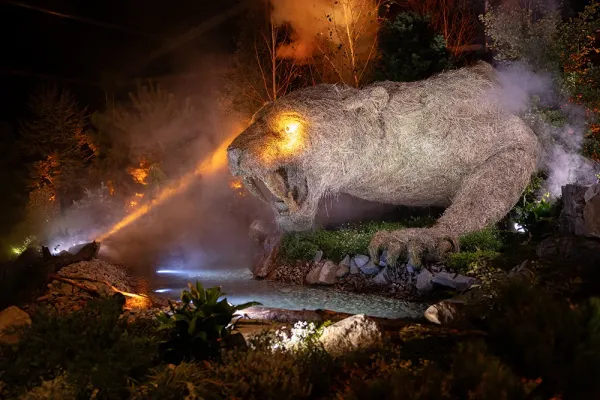 effet brouillard Folie'Flore 2025 2